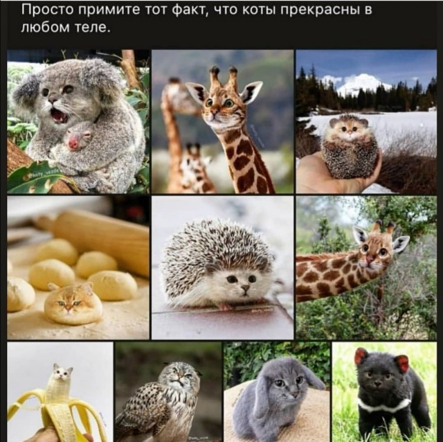 Юмор в картинках 28.09.20