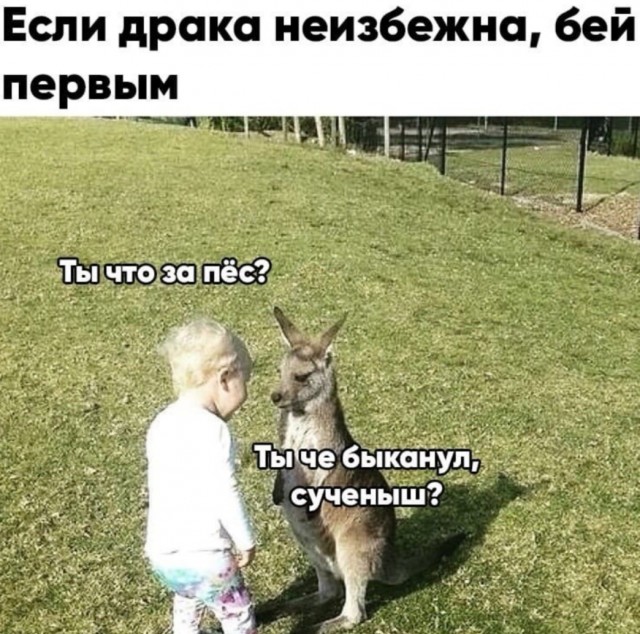 Юмор в картинках 7.10.20
