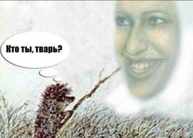 Ксюша?!