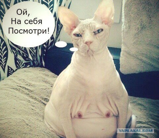Бредзона 29.11.20