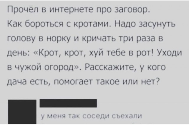 Не понимала, почему Виктор меня мышкой называет, пока не обнаружила целый зоопарк в его телефоне