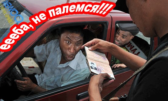 Ну очень жабельная фотография!