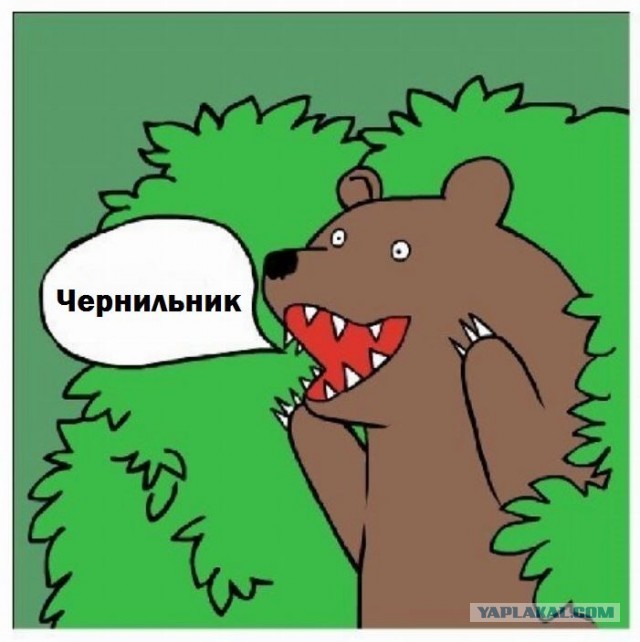 Футбольный судья из России встал на колено перед матчем