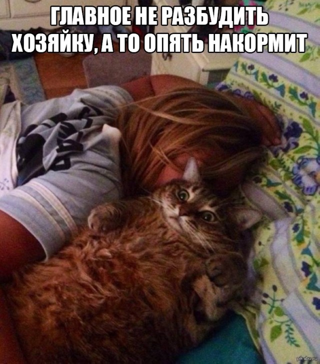 Так себе картинки 03.05.21