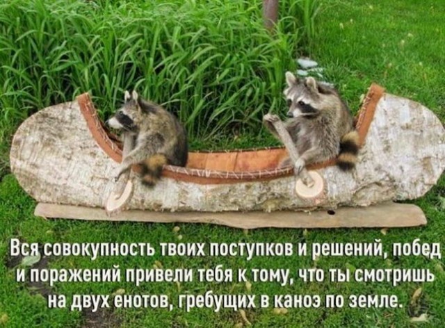 Картинки и мемы для настроения 26.05.2021