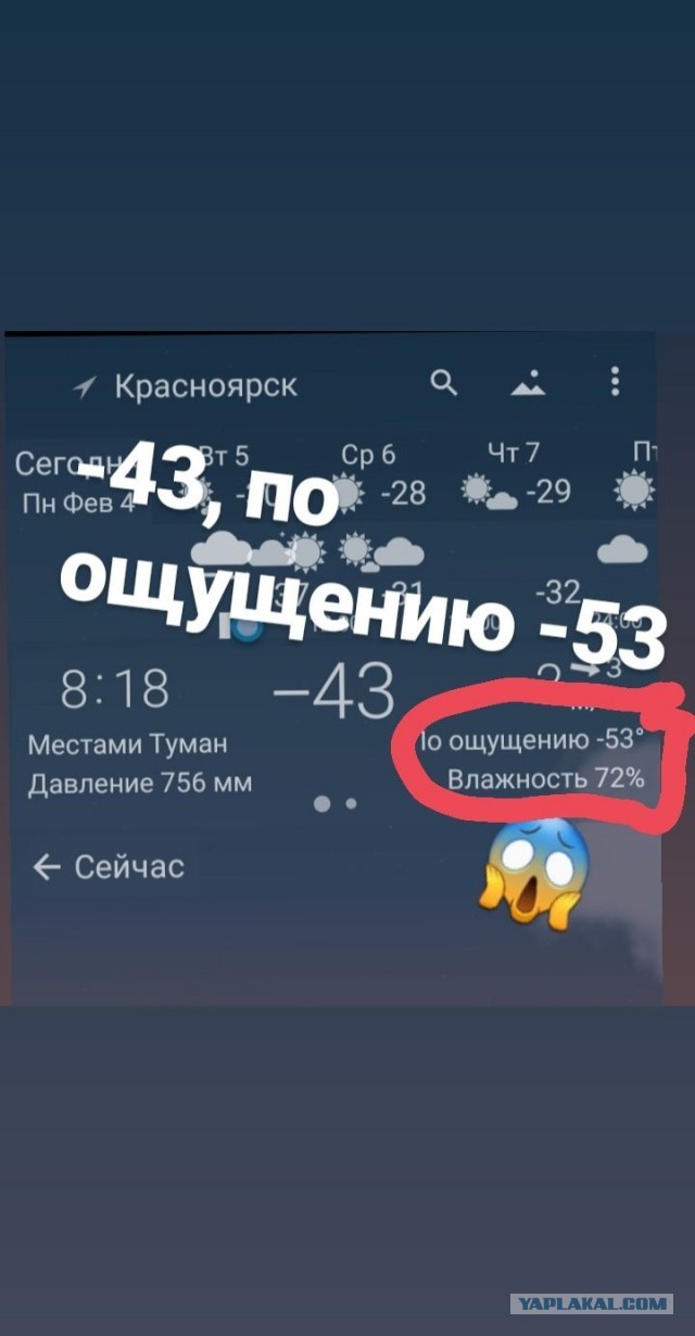 Живу в Красноярске