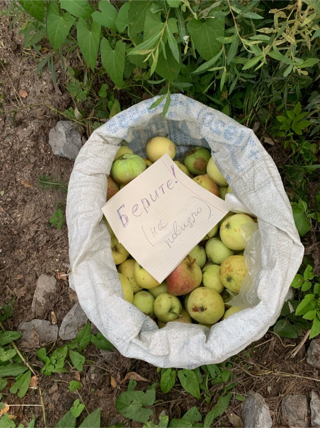 Добрые дела