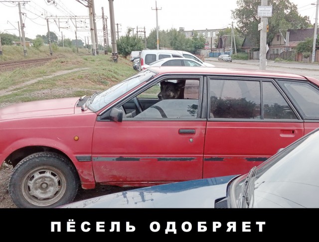 Так себе картинки 25.08.21