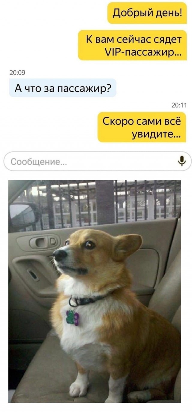 Юмор и прикольные картинки 11.10.2021