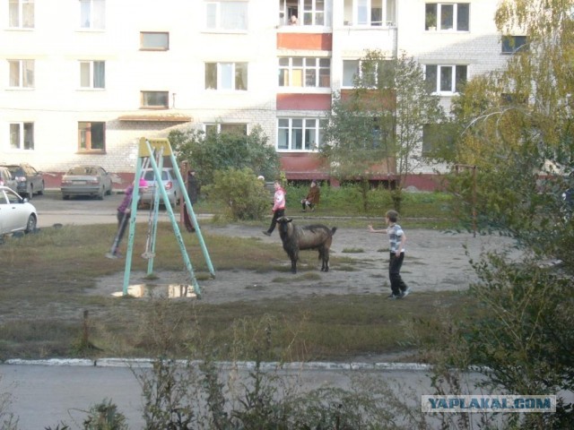 Вид из окна