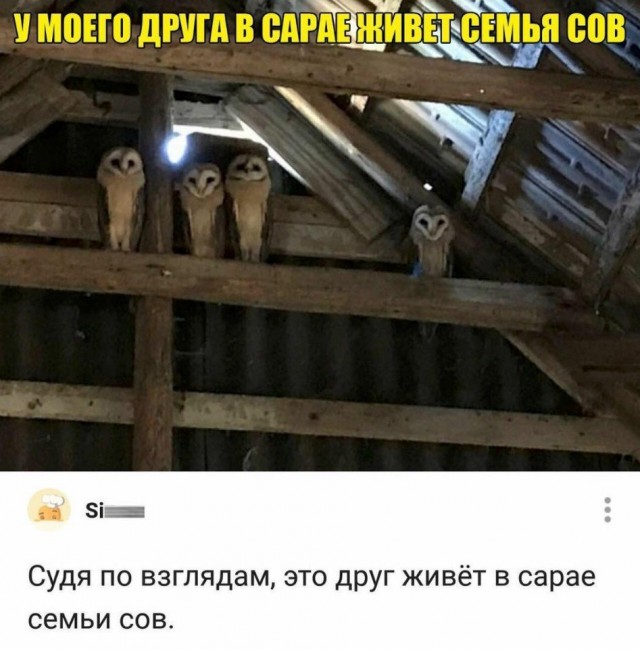 Так себе картинки 21.11.21