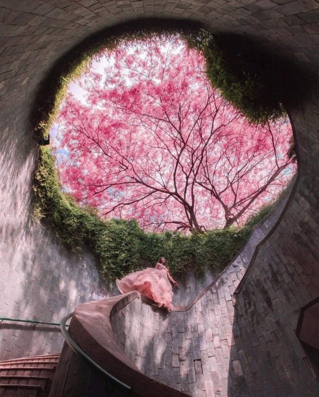 Картинки и мемы для настроения