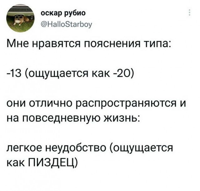 Картинки и мемы для настроения 28.12.2021