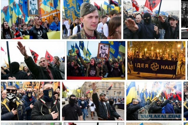 Все дружно смеялись, когда Путин мультики показывал