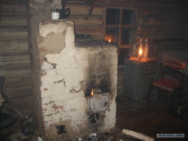 Тайга на двоих