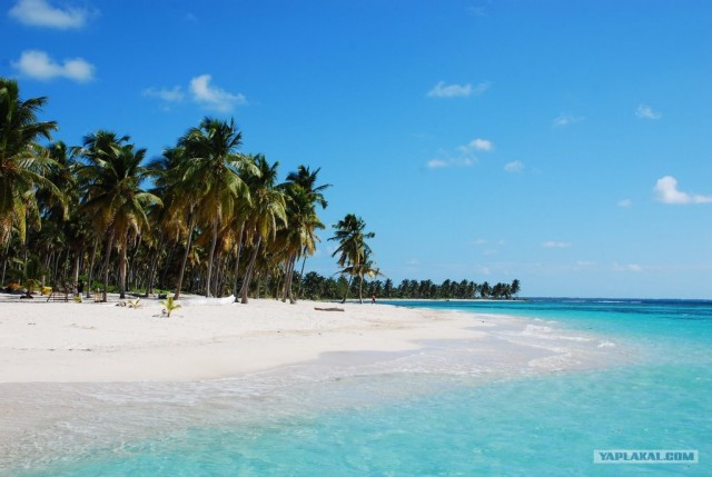 105 фактов о Доминикане глазами россиянина