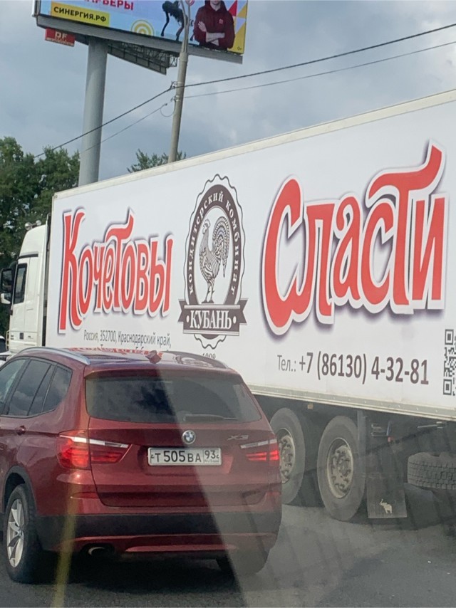 4 года псу под хвост?