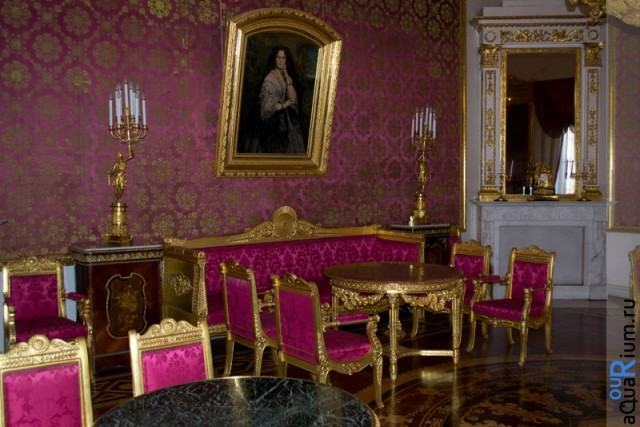 СПб глазами уставшего туриста...