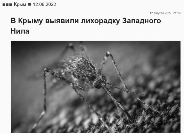 Пандемия съехавших крыш - разновидности болезни. Россия и мир. Часть 39.