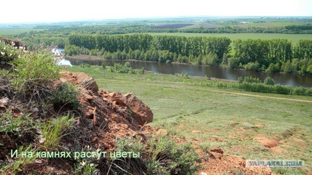 Деревенская Америка