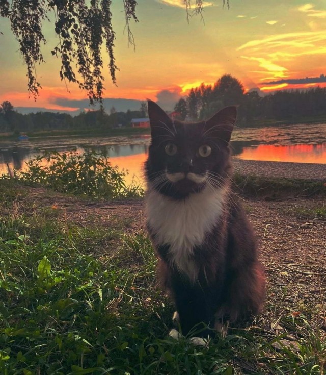 Подборка милых фото, для настроения