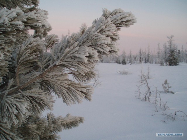 Ямал. Два времени года