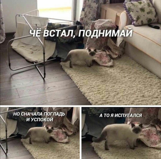Народная меДИЧина 9017