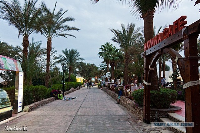 Синайские приключения. Шарм-эш-Шейх и окресности