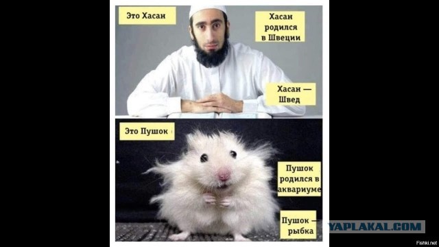Потасовка в детской комнате в Германии