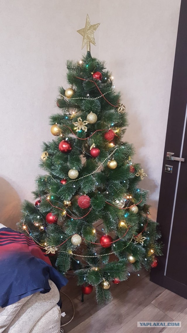 Выкладывайте свои елки!