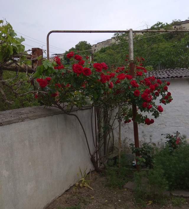 Ушло поколение нормальных женщин