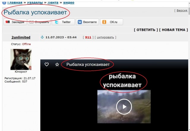 Рыбалка успокаивает