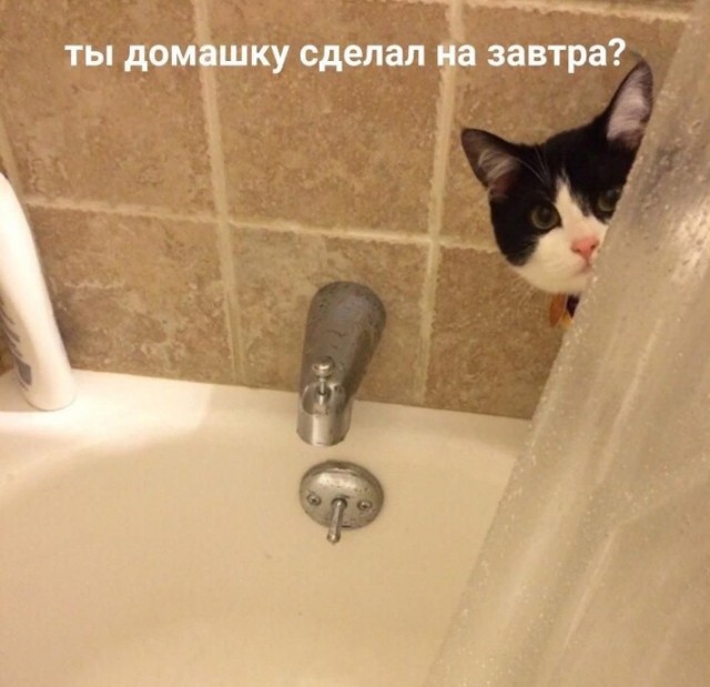 Всего понемногу. От 29.09.2023