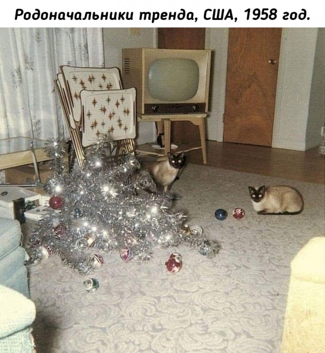 Небольшая подборка исторических фото (25.10.2023)