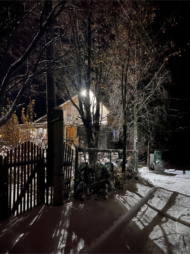 Красивые фото ЯПа