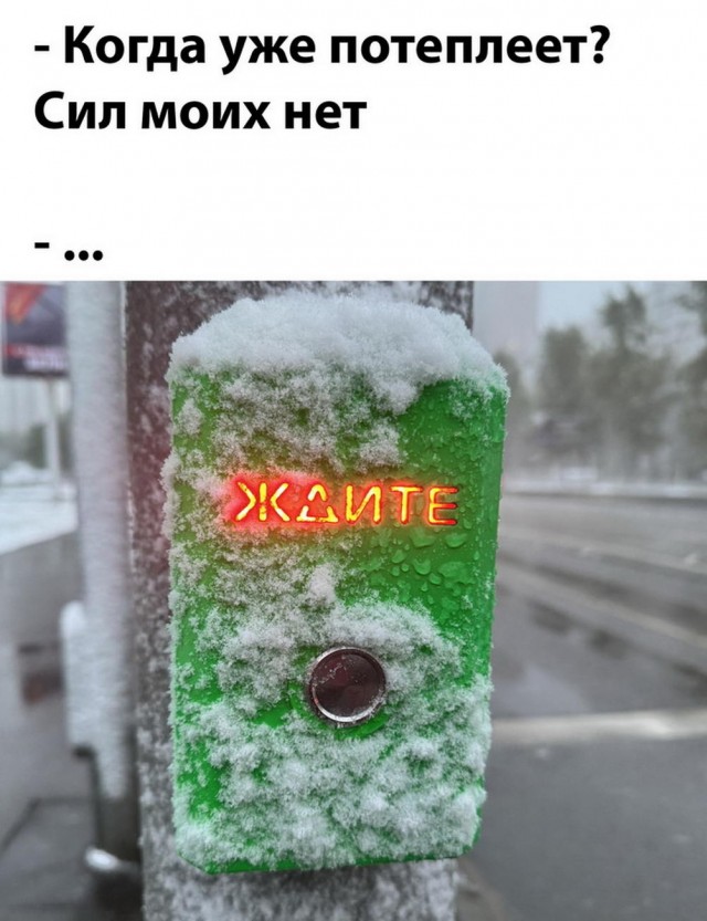 Веселые картинки