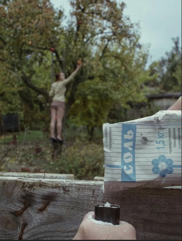 Суббото-баяно-лар