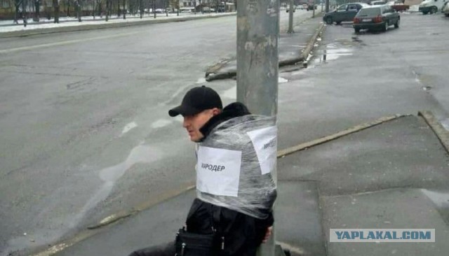 В Курской области цыганский табор грабит опустевшие дома жителей.