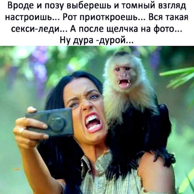 Смехотерапия. Весёлые картинки