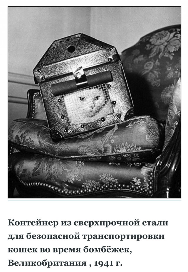 Редкие кадры и архивные снимки 15.01.25