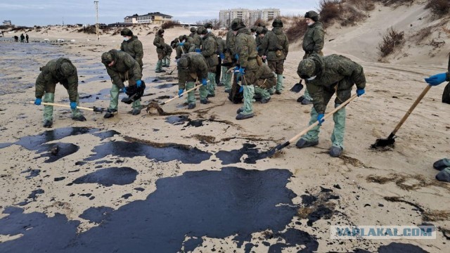 Повторный выброс мазута подтвердили на 24 участках пляжей в Анапе
