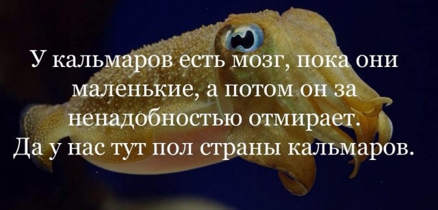 Завалялось тут случайно немного забавных картинок