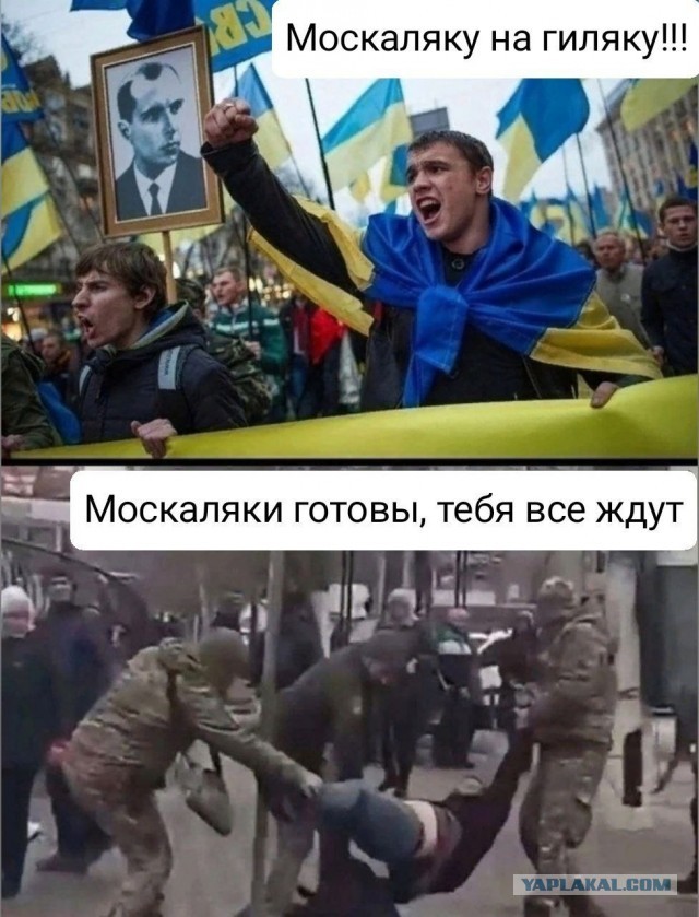 Белый дом хочет, чтобы Украина провела президентские и парламентские выборы, пишет Reuters.