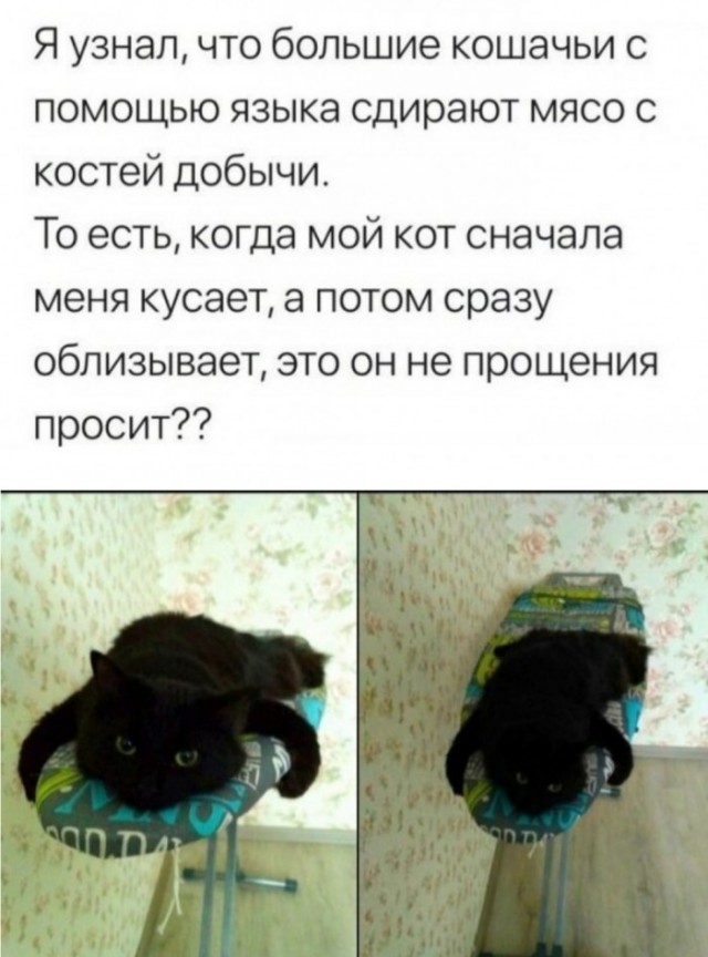 Завалялось тут случайно немного забавных картинок