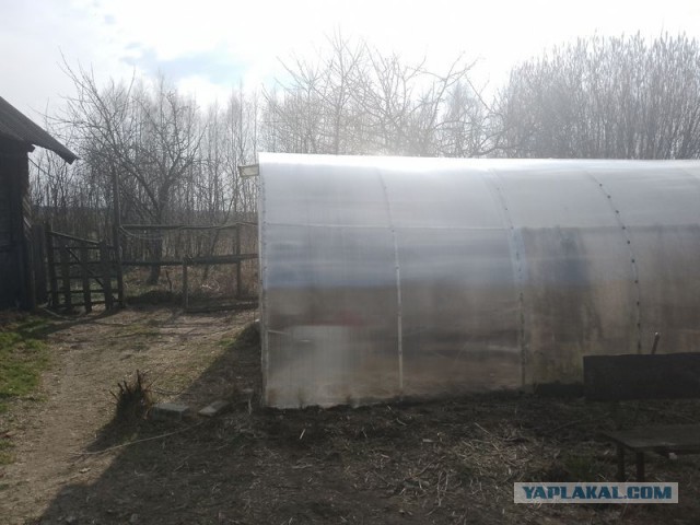 Жизнь домашнего приюта для котеек 537