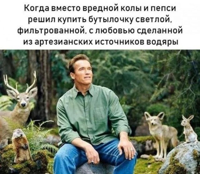 Юмор для тех, кто уже повзрослел и понял, что возраст — это просто дорогое хобби