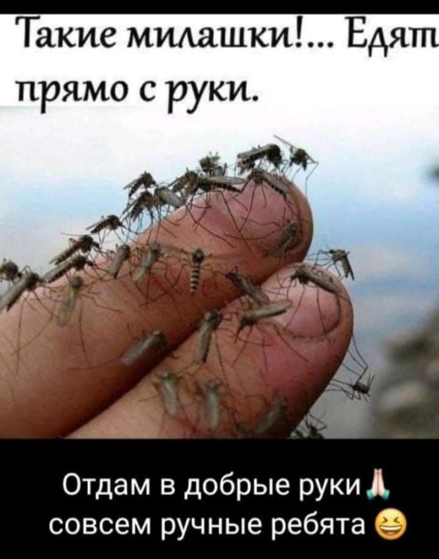 Завалялось тут случайно немного забавных картинок