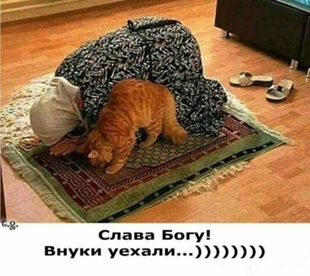 Прикольные и просто красивые картинки 22.08.2025