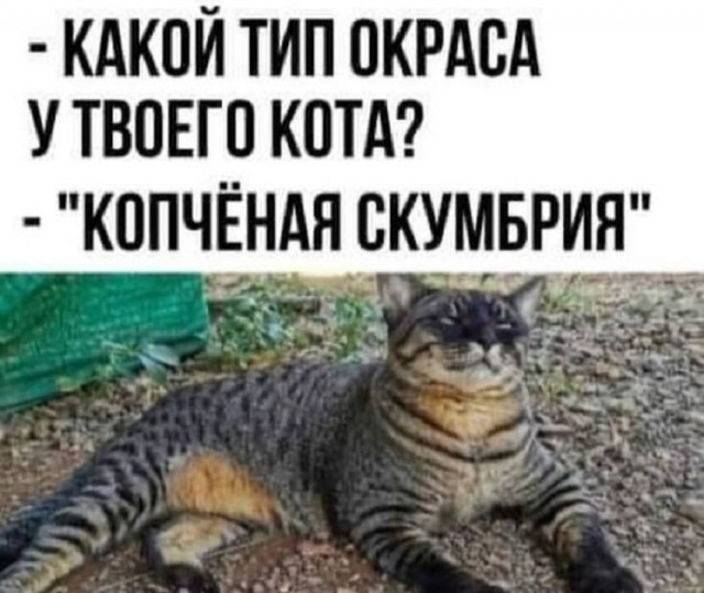 Так себе картинки 08.09.25
