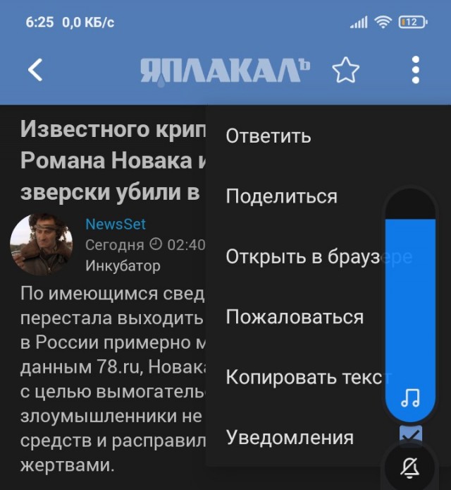 Известного криптомошенника Романа Новака и его супругу Анну зверски убили в ОАЭ
